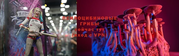 гашик Нефтекумск