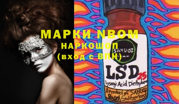 гашик Нефтекумск