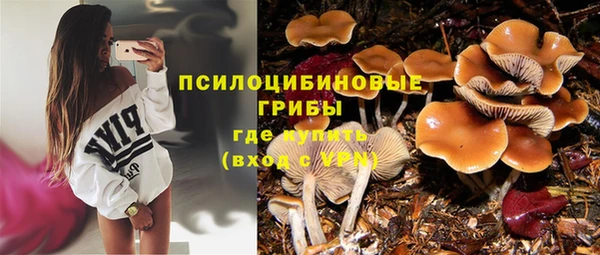 ALPHA PVP Новокубанск