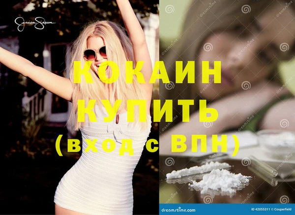 гашик Нефтекумск