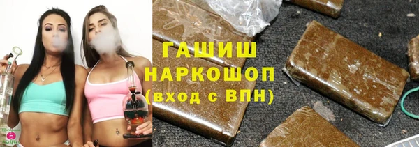 стафф Новозыбков