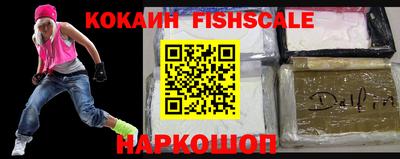 дмт Гатчина
