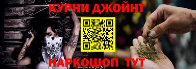 дмт Гатчина