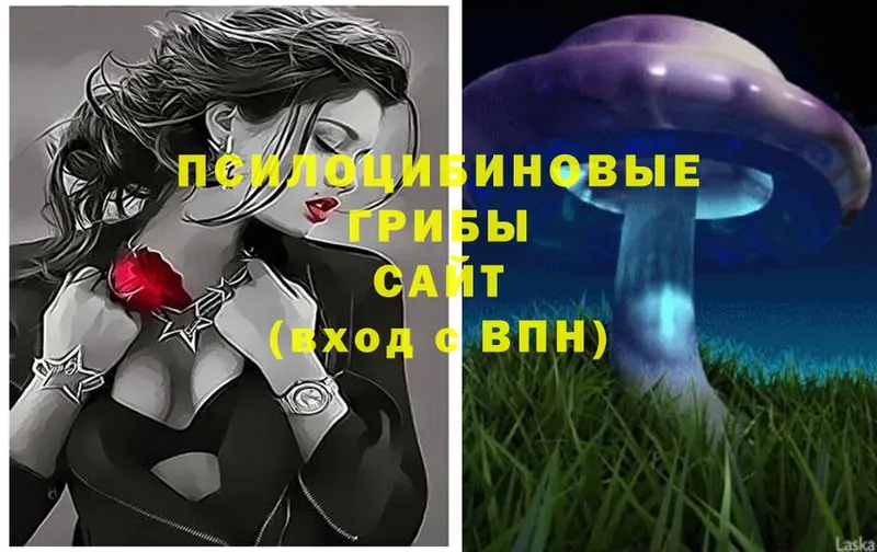 Галлюциногенные грибы Magic Shrooms Коряжма