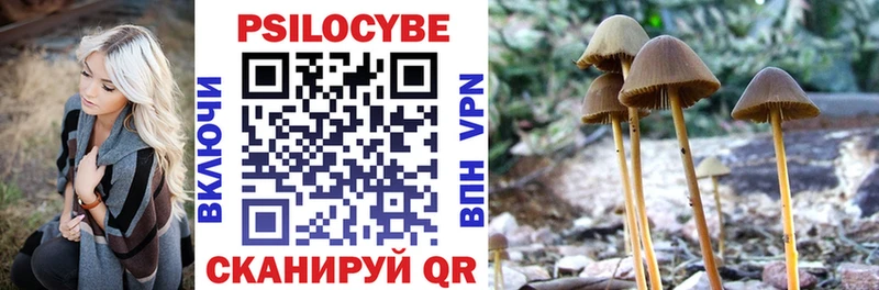 Псилоцибиновые грибы GOLDEN TEACHER  Коряжма 