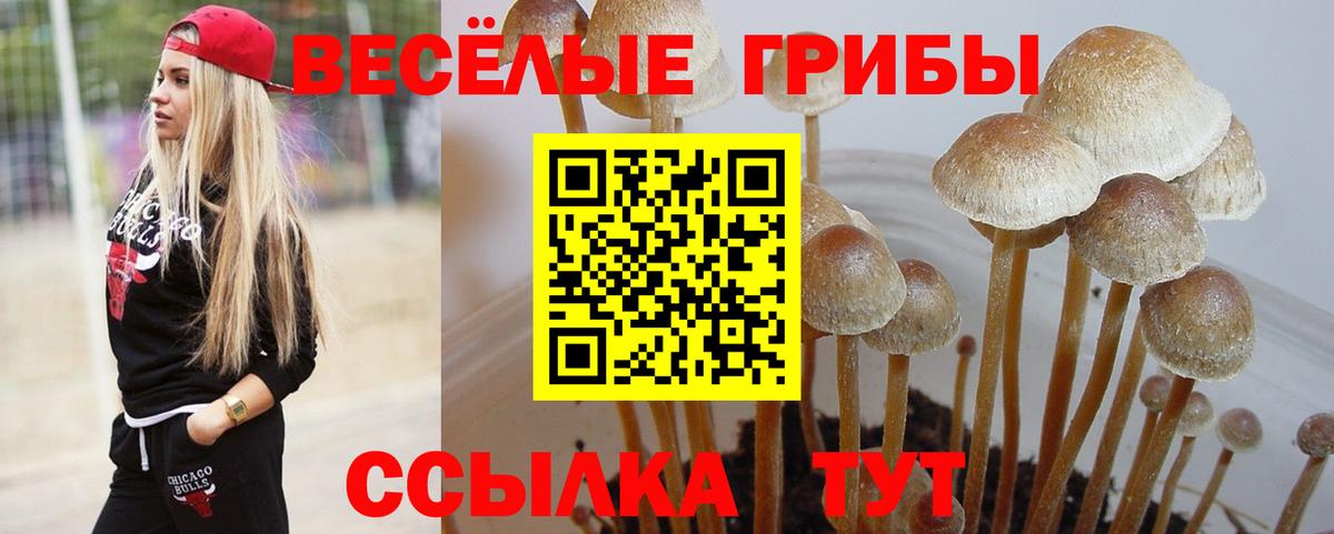 Псилоцибиновые грибы мухоморы Коряжма